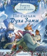 Записки из Зелёного Бора. По следам Духа Зимы