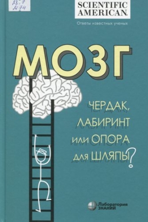 Мозг: чердак, лабиринт или опора для шляпы?