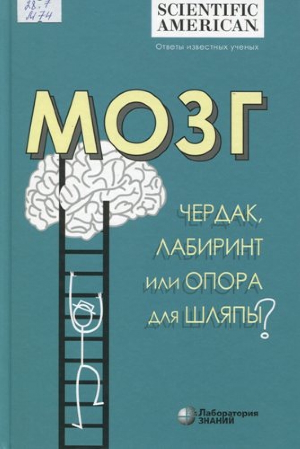 Мозг: чердак, лабиринт или опора для шляпы?