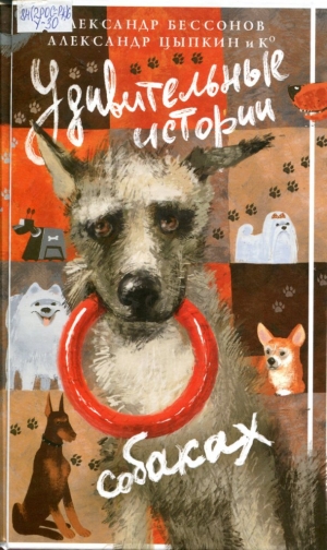 Удивительные истории о собаках 